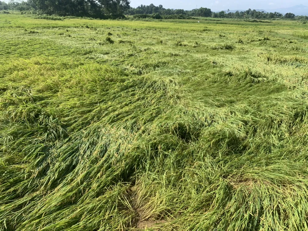 Lốc xoáy gây thiệt hại nặng về tài sản của người dân Hà Tĩnh ảnh 19