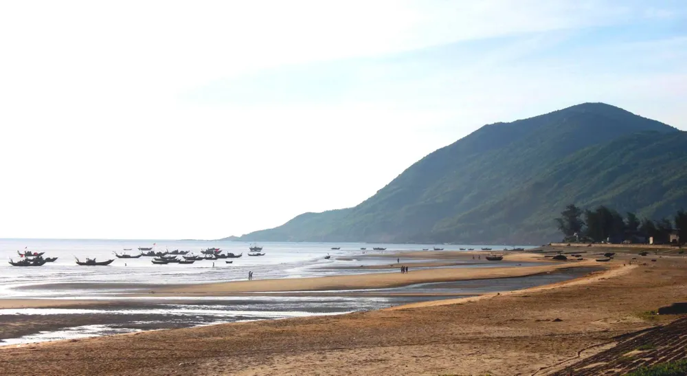 Hiện đại hóa ngành lâm nghiệp và tăng cường tính chống chịu vùng ven biển Hà Tĩnh, Quảng Bình ảnh 3