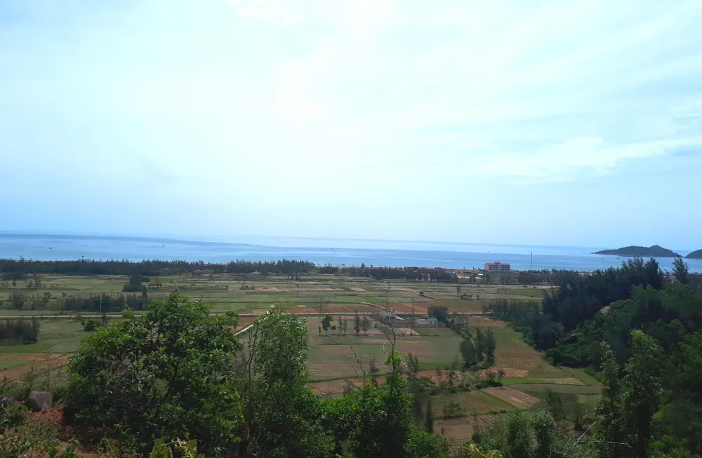 Nhiều diện tích rừng ở ven biển huyện Lộc Hà, tỉnh Hà Tĩnh đã góp phần tạo lá chắn xanh bảo vệ cuộc sống người dân. Ảnh: DƯƠNG QUANG