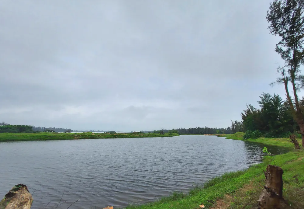 Hiện đại hóa ngành lâm nghiệp và tăng cường tính chống chịu vùng ven biển Hà Tĩnh, Quảng Bình ảnh 1