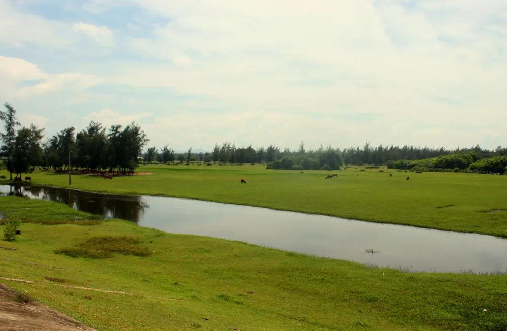 Hiện đại hóa ngành lâm nghiệp và tăng cường tính chống chịu vùng ven biển Hà Tĩnh, Quảng Bình ảnh 2