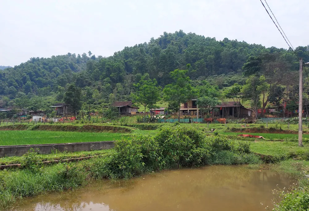 Bà con dân tộc Chứt ở bản Rào Tre vui đón Tết Lấp lỗ ảnh 8