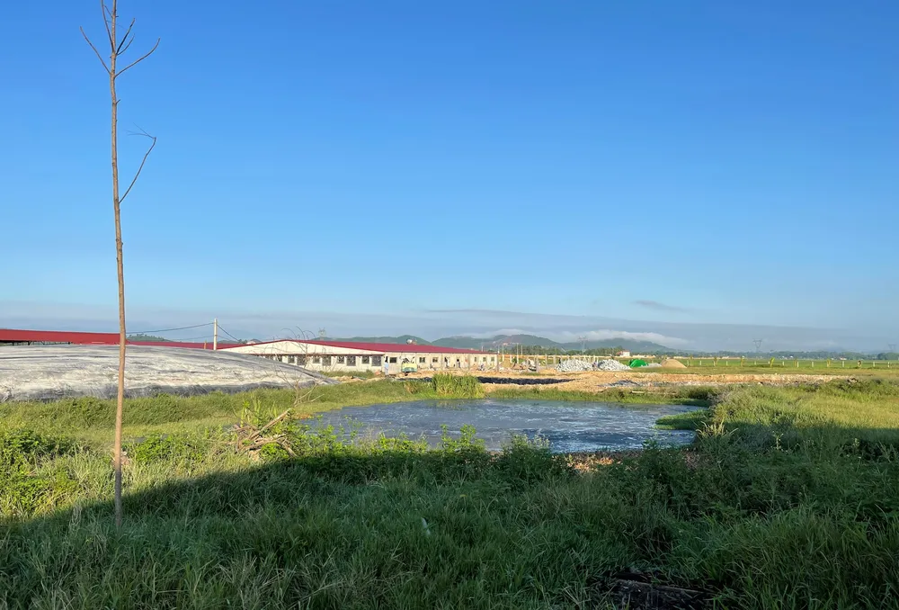 Hà Tĩnh: Xử lý vi phạm trong chăn nuôi, bảo vệ môi trường tại Dự án trang trại chăn nuôi bò sữa cao sản Bắc Hà ảnh 3