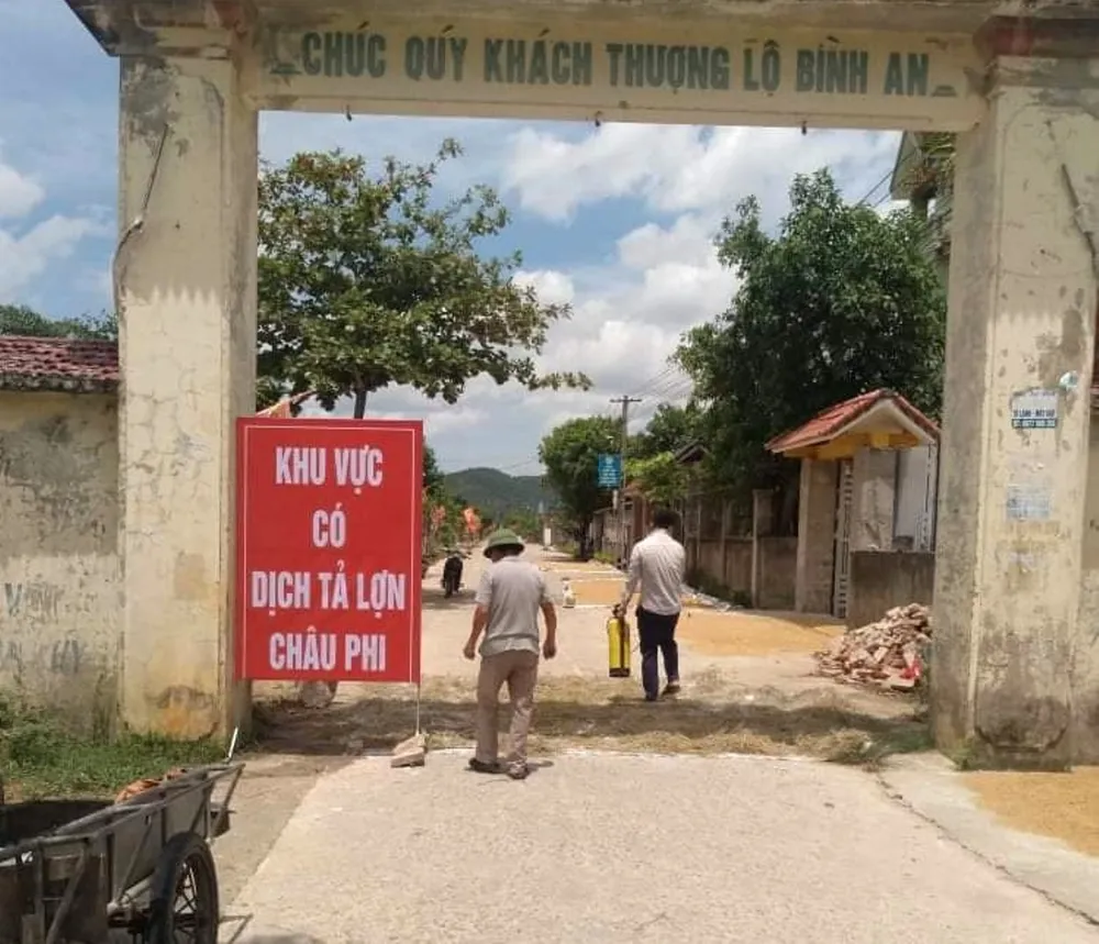 Tái bùng phát dịch tả heo châu Phi ở Nghi Xuân, Hà Tĩnh ảnh 4