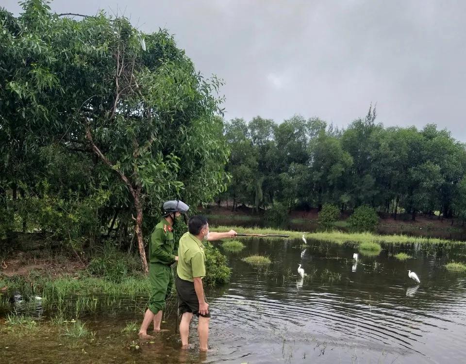 Hà Tĩnh: Tăng cường xử lý nạn săn bắt chim tự nhiên, động vật hoang dã ảnh 2