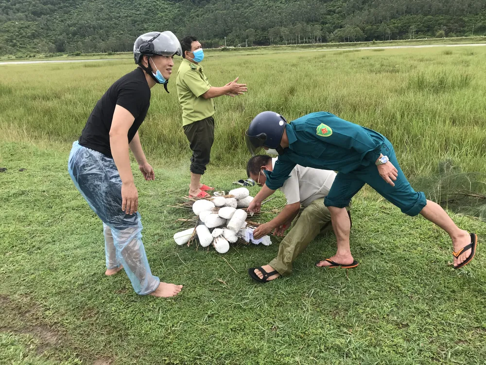 Hà Tĩnh: Tăng cường xử lý nạn săn bắt chim tự nhiên, động vật hoang dã ảnh 7