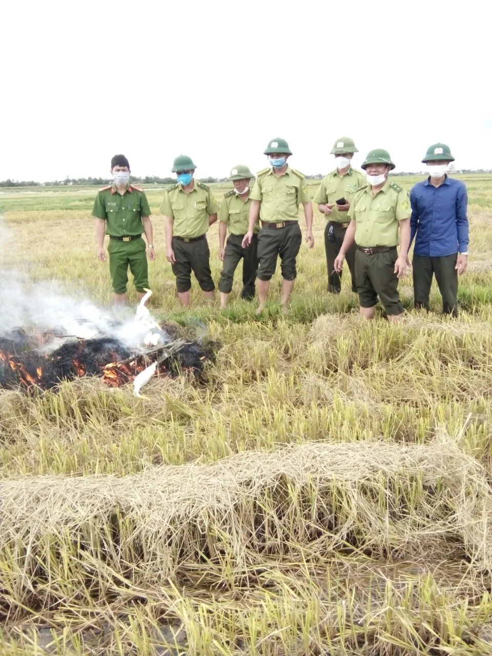 Hà Tĩnh: Tăng cường xử lý nạn săn bắt chim tự nhiên, động vật hoang dã ảnh 8