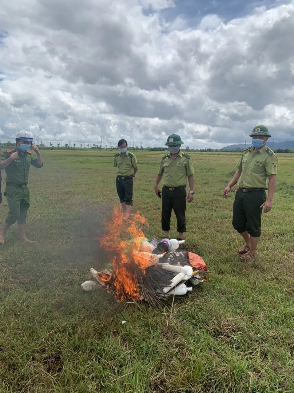Hà Tĩnh: Tăng cường xử lý nạn săn bắt chim tự nhiên, động vật hoang dã ảnh 4