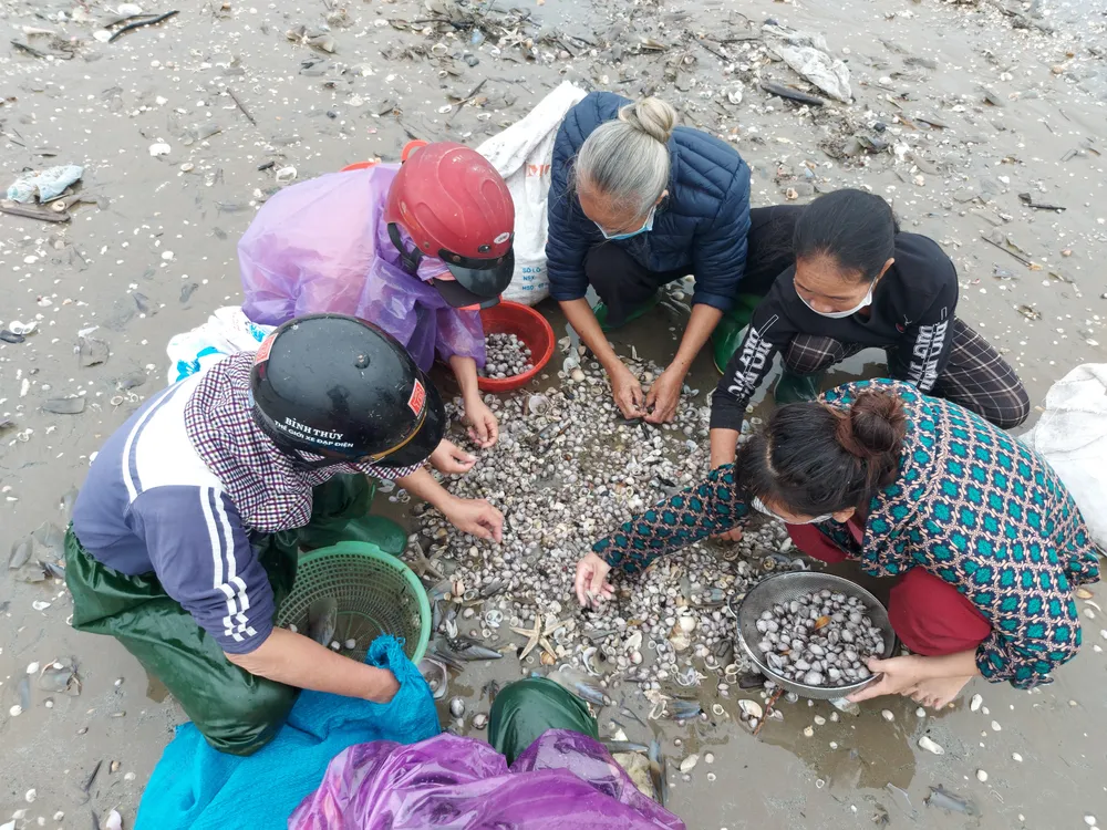 Người dân Hà Tĩnh đổ xô đi nhặt “lộc biển” ảnh 9