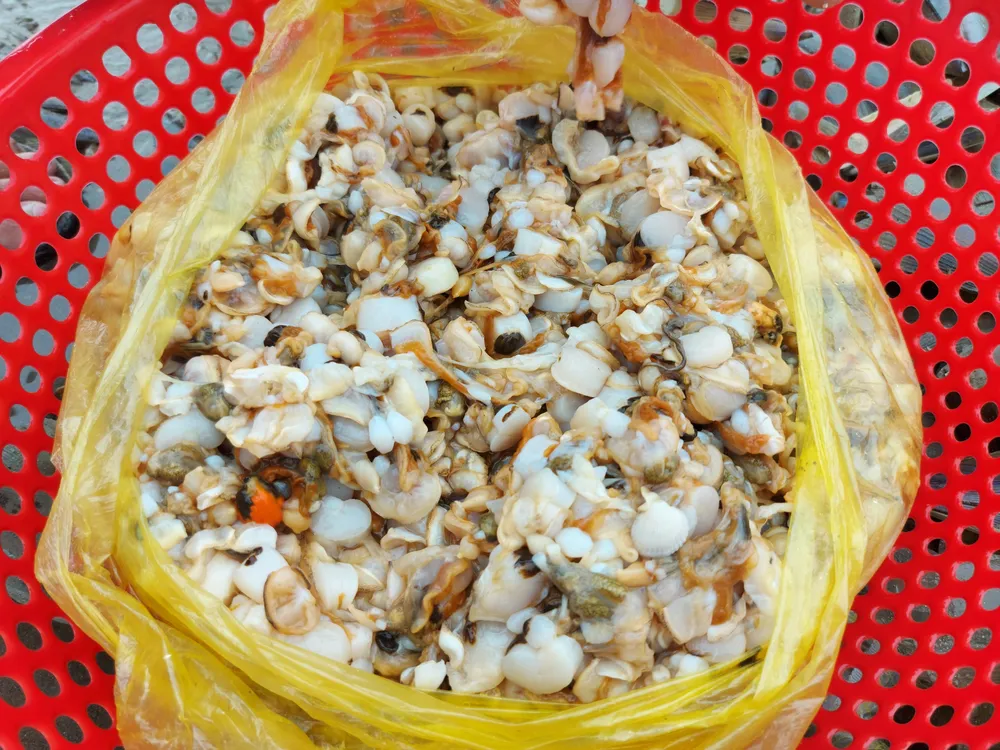 Người dân Hà Tĩnh đổ xô đi nhặt “lộc biển” ảnh 15