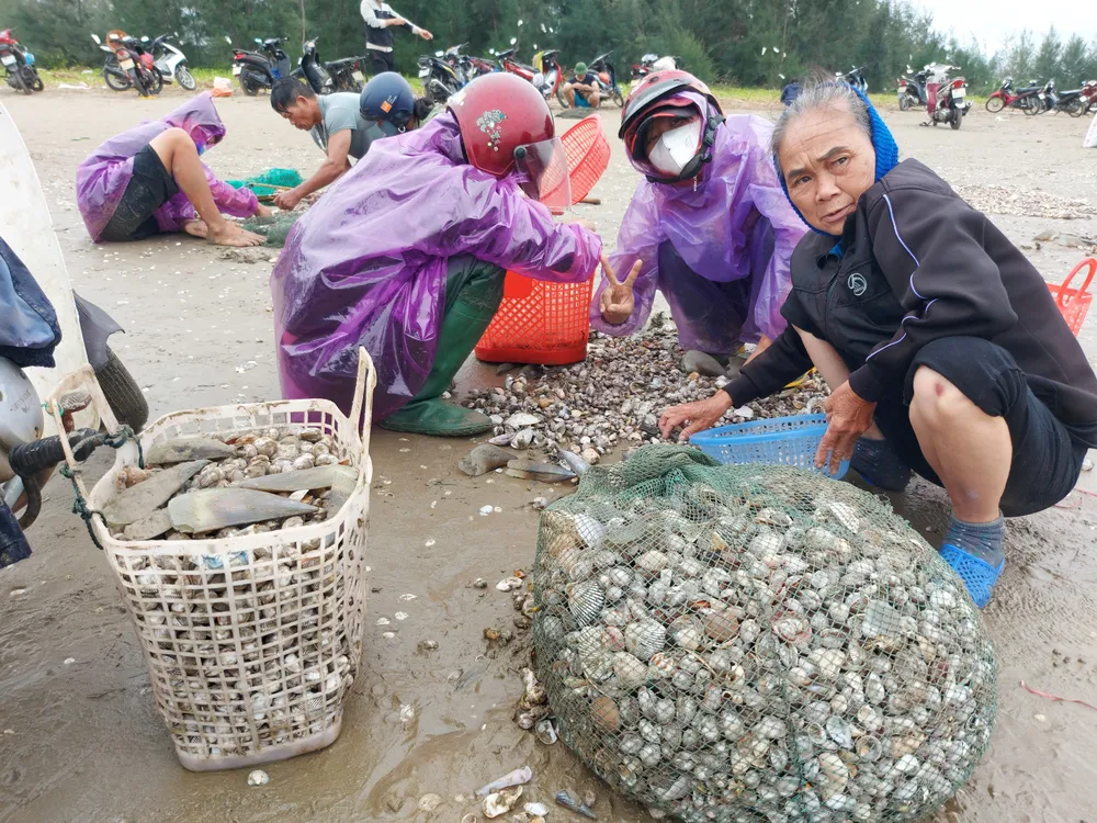 Người dân Hà Tĩnh đổ xô đi nhặt “lộc biển” ảnh 13
