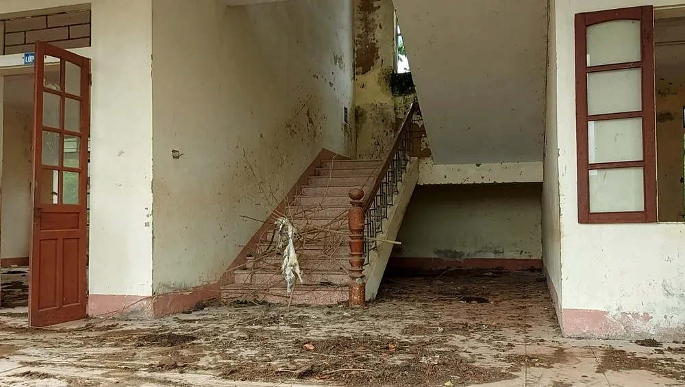 Hà Tĩnh: Hoang tàn trường học bỏ hoang ảnh 5