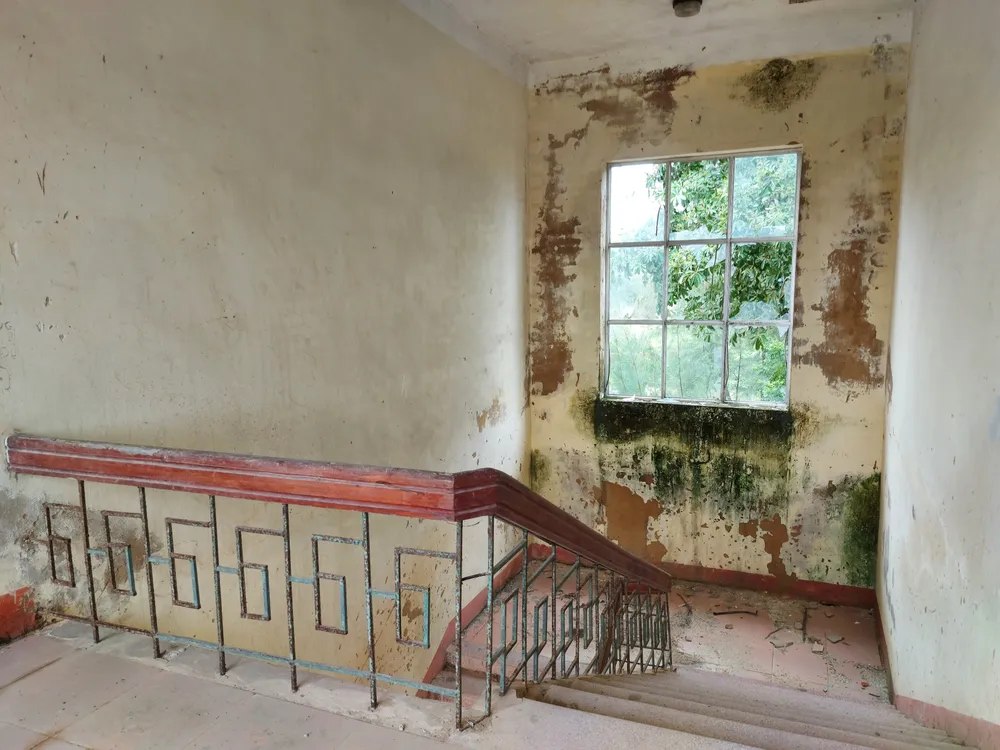 Hà Tĩnh: Hoang tàn trường học bỏ hoang ảnh 8