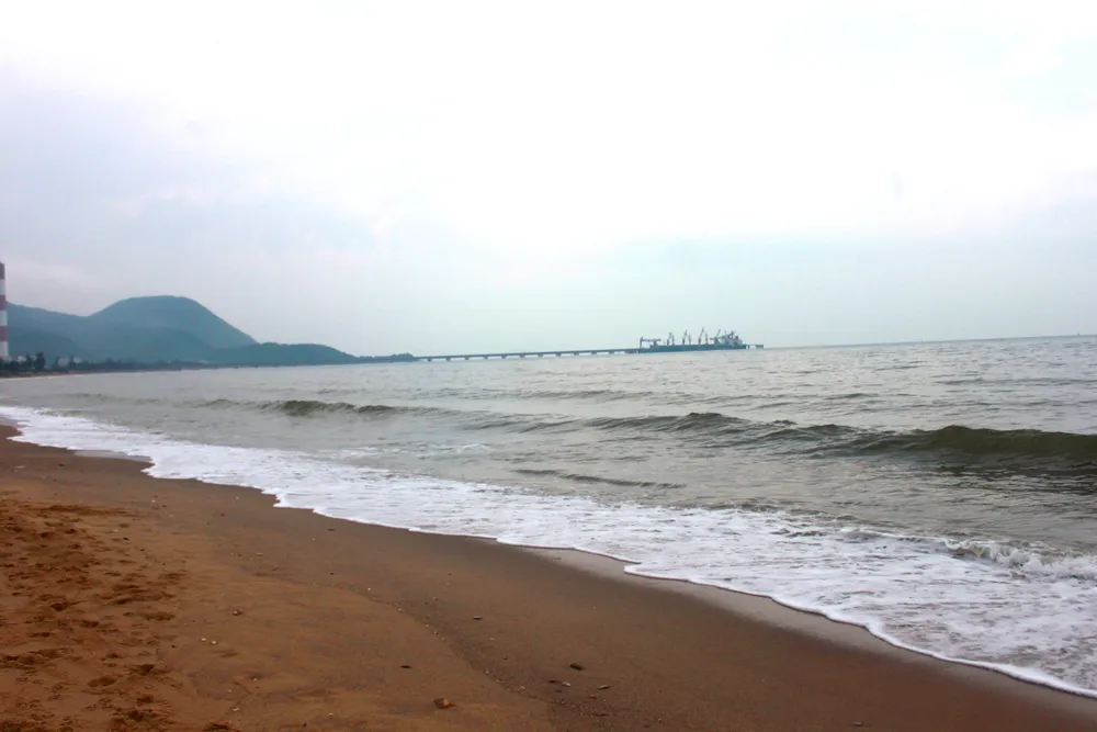 Hà Tĩnh: Thực hiện dự án phục hồi, tái tạo hệ sinh thái thủy sinh và nguồn lợi thủy sản ảnh 1