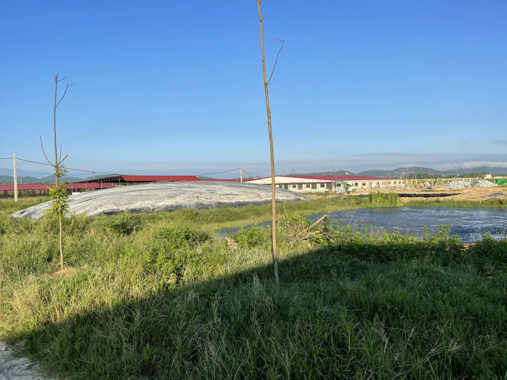 Dự án Trang trại chăn nuôi bò sữa cao sản Bắc Hà ở xã An Dũng, huyện Đức Thọ, Hà Tĩnh