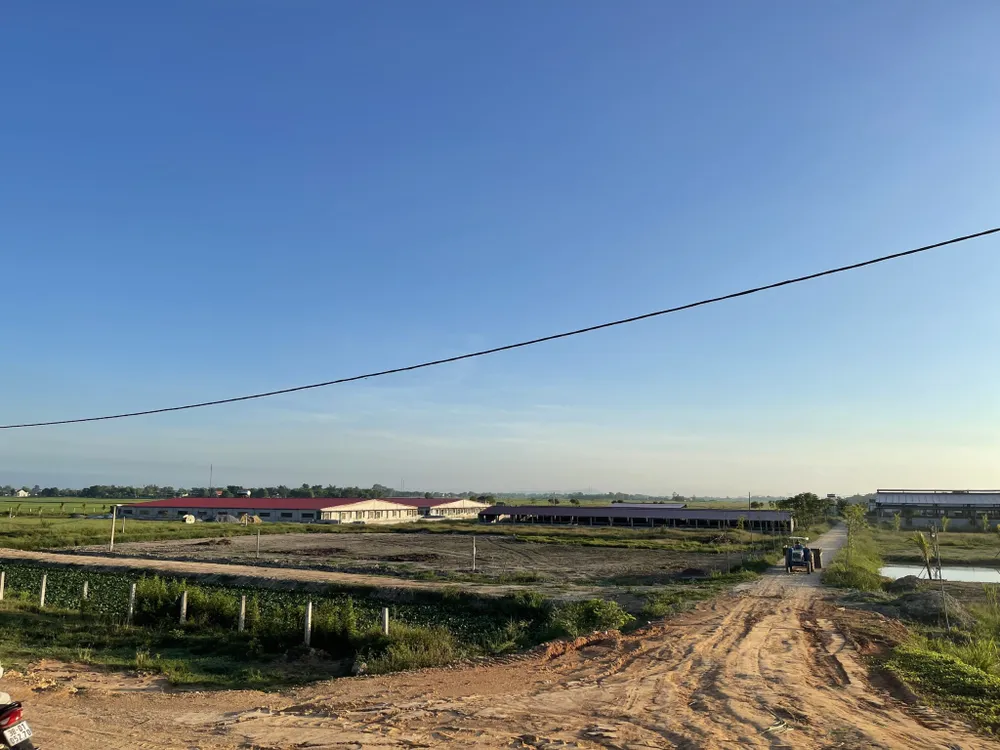 Vi phạm bảo vệ môi trường, một doanh nghiệp bị phạt 1,25 tỷ đồng ảnh 1