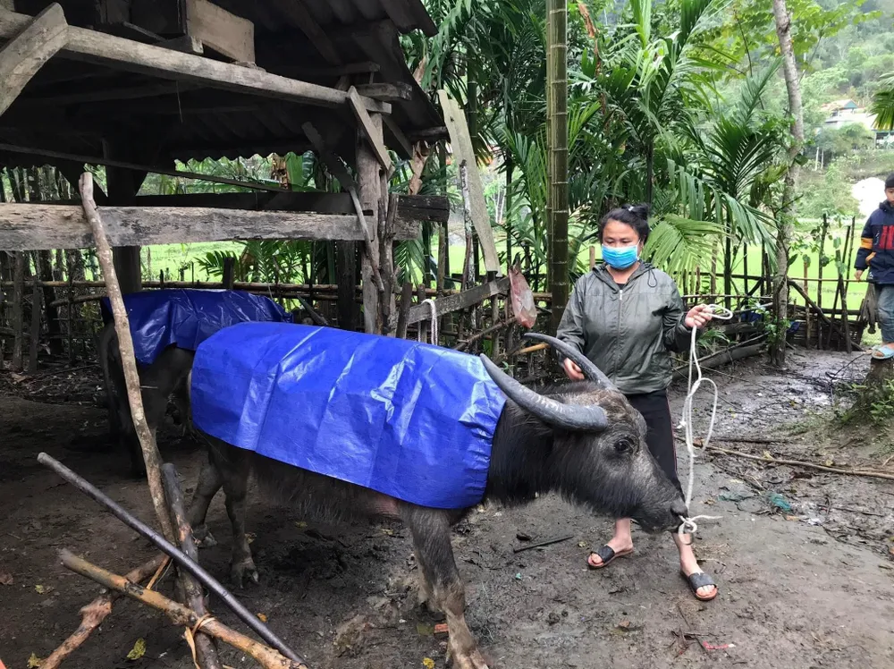 Bắc miền Trung: Nhiều trường phải cho học sinh nghỉ học tránh rét ảnh 9