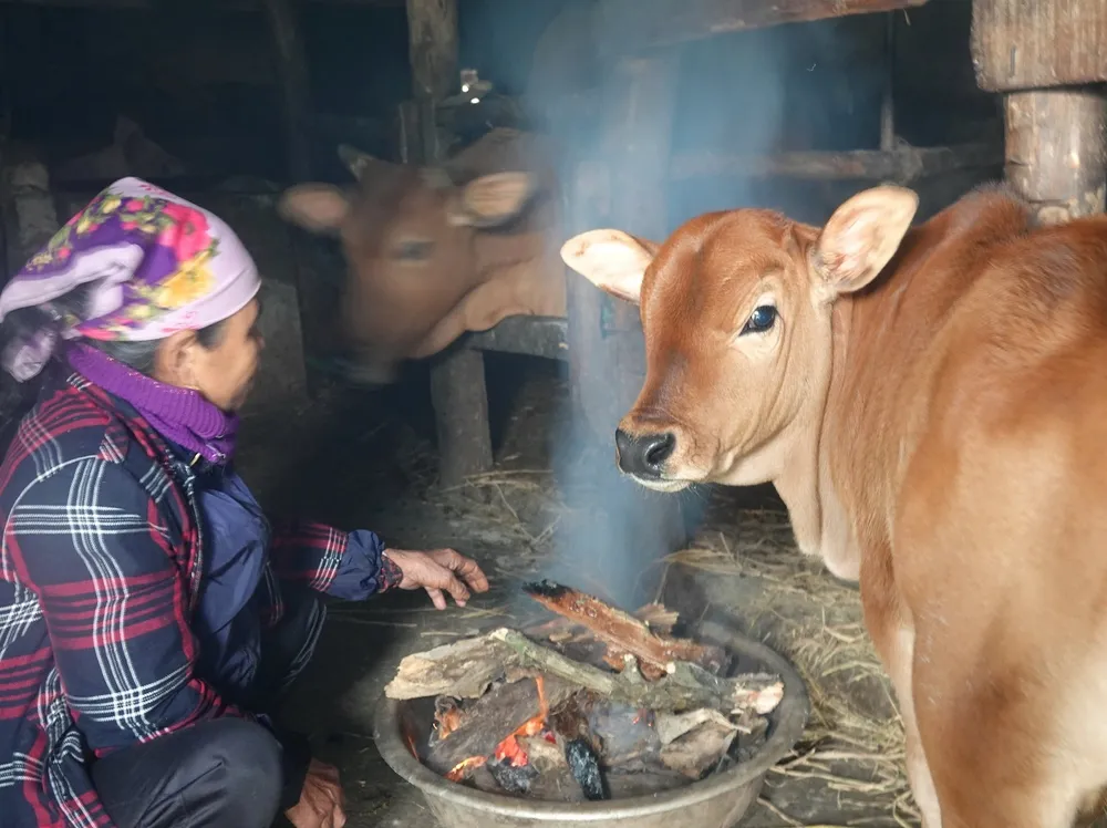 Bắc miền Trung: Nhiều trường phải cho học sinh nghỉ học tránh rét ảnh 8