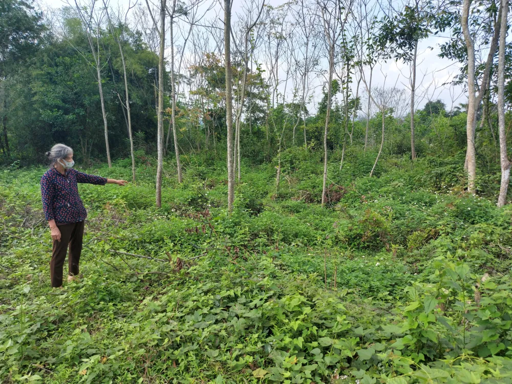 Sống thấp thỏm bên điểm tồn lưu hóa chất bảo vệ thực vật ảnh 1