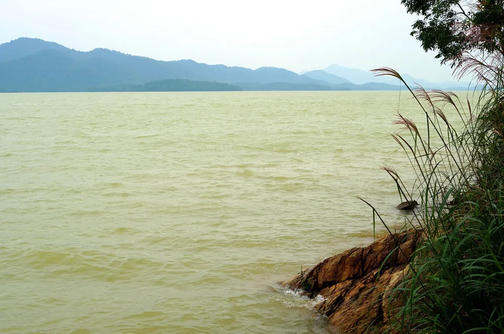 Người góp phần bảo vệ các loài thú ở rừng Kẻ Gỗ ảnh 4