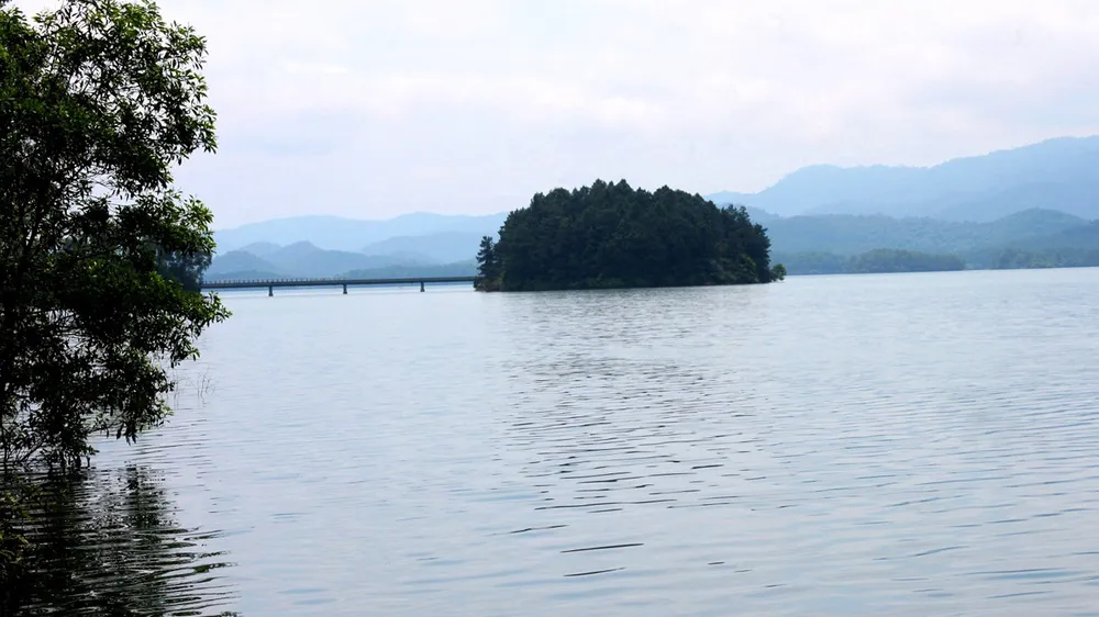 Người góp phần bảo vệ các loài thú ở rừng Kẻ Gỗ ảnh 1