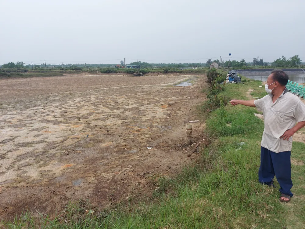 Hà Tĩnh: Tìm nguyên nhân khiến tôm và cua nuôi bị chết hàng loạt ảnh 1