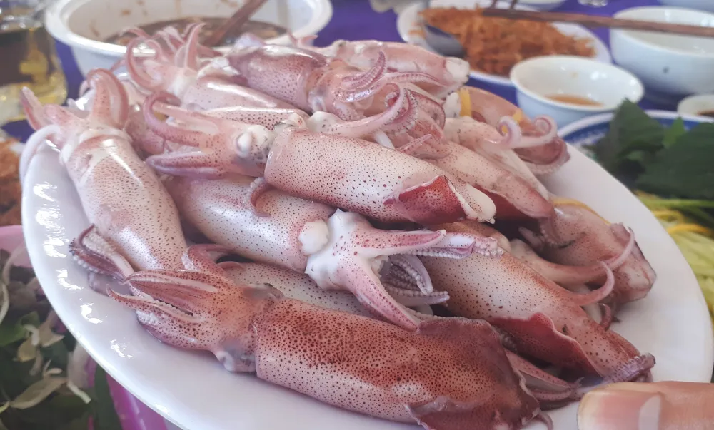 Hà Tĩnh: Mực nhảy Vũng Áng hấp dẫn du khách ảnh 8