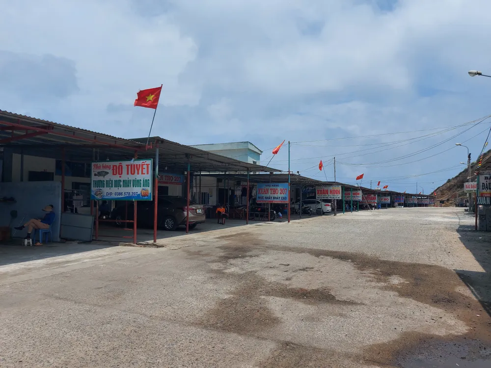 Hà Tĩnh: Mực nhảy Vũng Áng hấp dẫn du khách ảnh 11