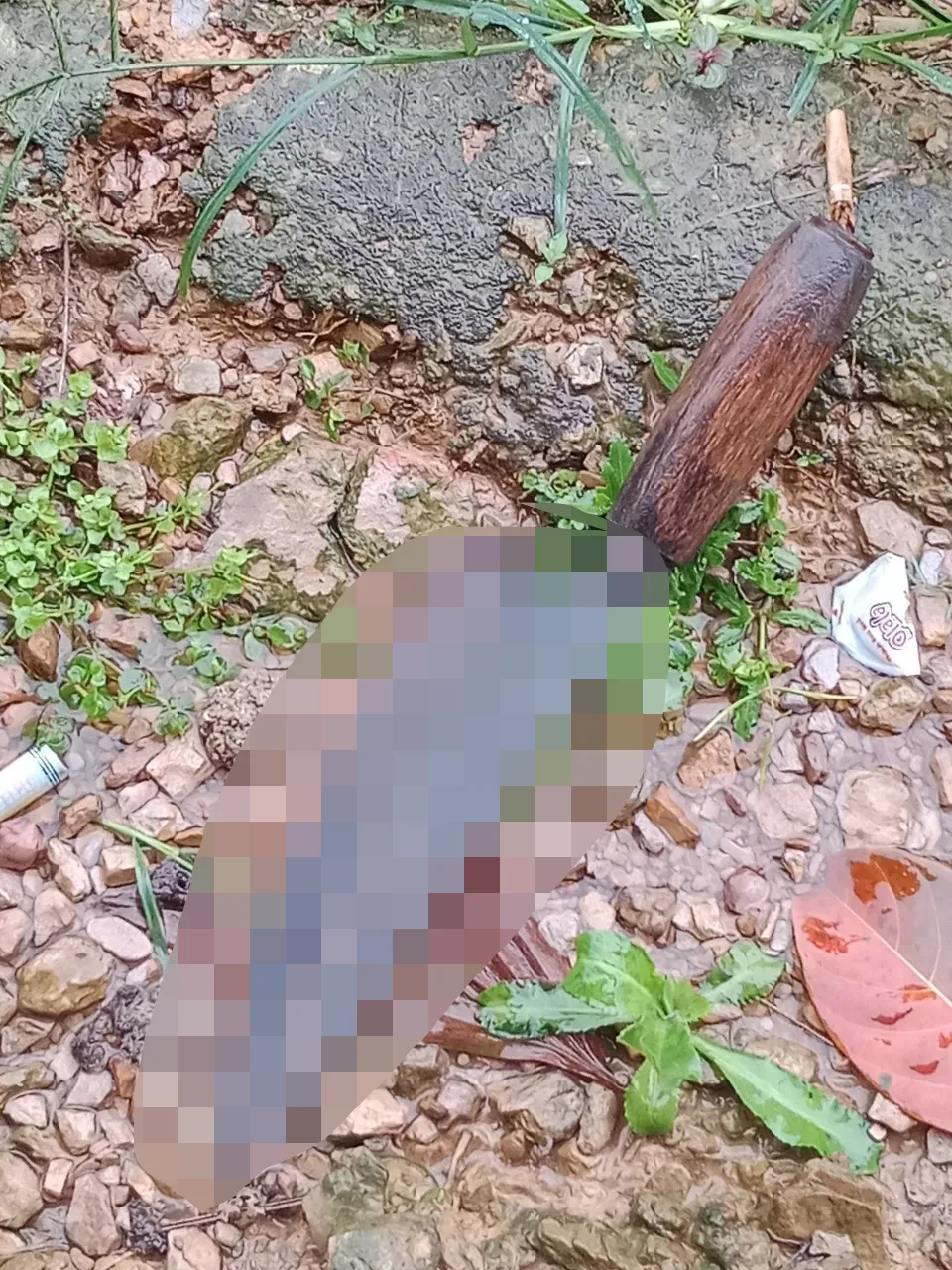 Điều tra vụ án mạng trong đêm giữa rừng sâu ảnh 1