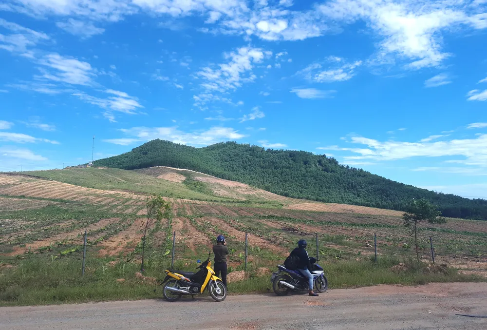 Điều chỉnh dự án chăn nuôi bò ngàn tỷ ở Hà Tĩnh ảnh 3