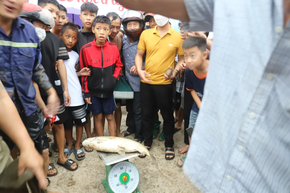 Hàng trăm người nô nức bắt cá hồ Đập Lổ ở Hà Tĩnh ảnh 25