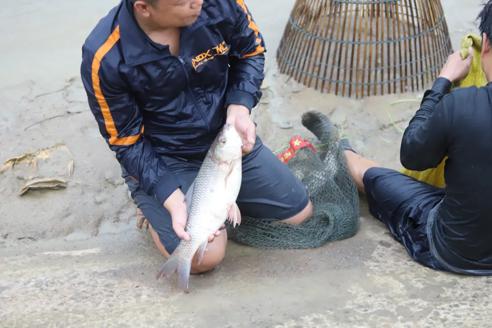 Hàng trăm người nô nức bắt cá hồ Đập Lổ ở Hà Tĩnh ảnh 29