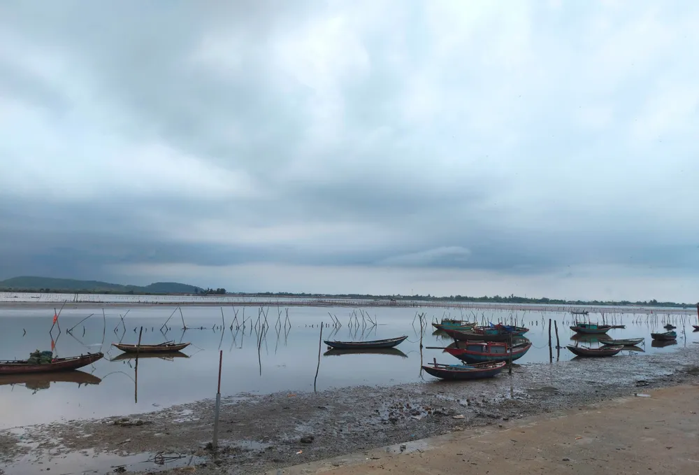 Hà Tĩnh: Nghêu nuôi chết hàng loạt chưa rõ nguyên nhân ảnh 5