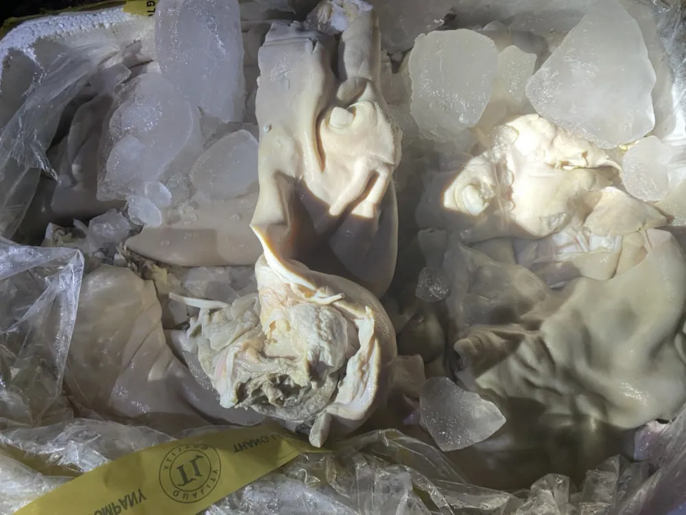 Phát hiện xe khách vận chuyển 437kg nội tạng động vật không rõ nguồn gốc ảnh 2