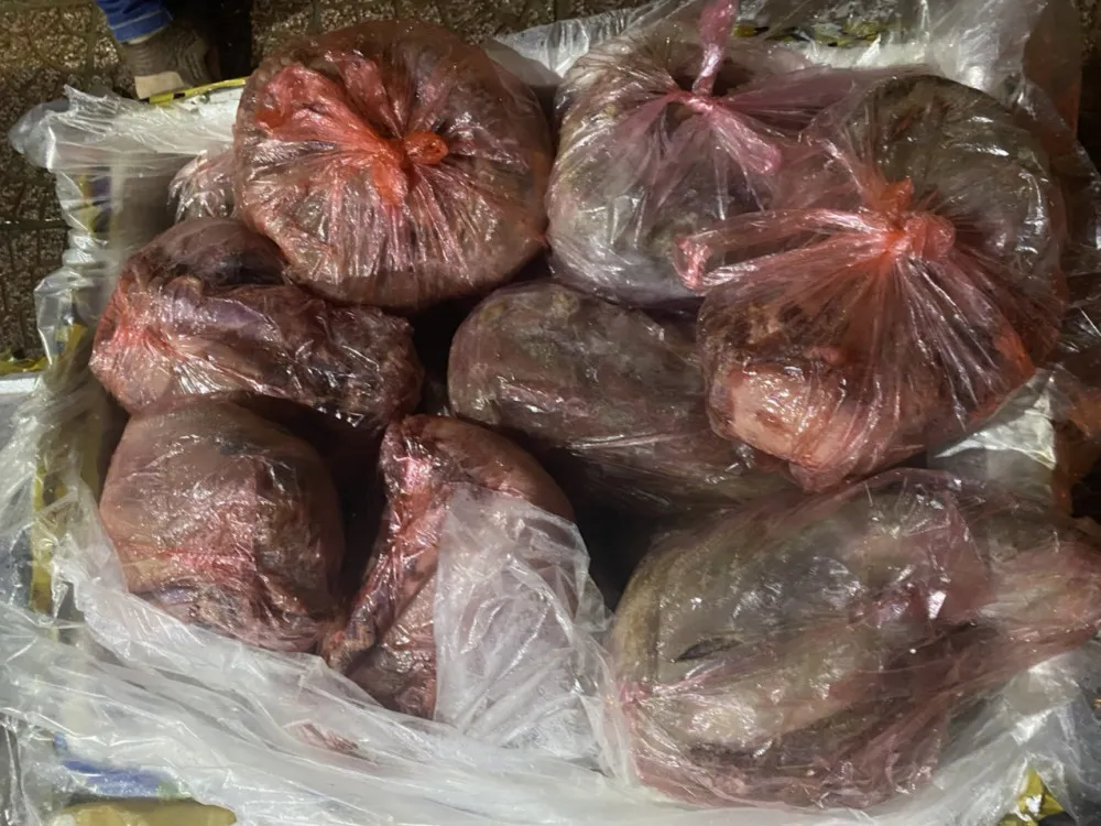 Phát hiện xe khách vận chuyển 437kg nội tạng động vật không rõ nguồn gốc ảnh 1
