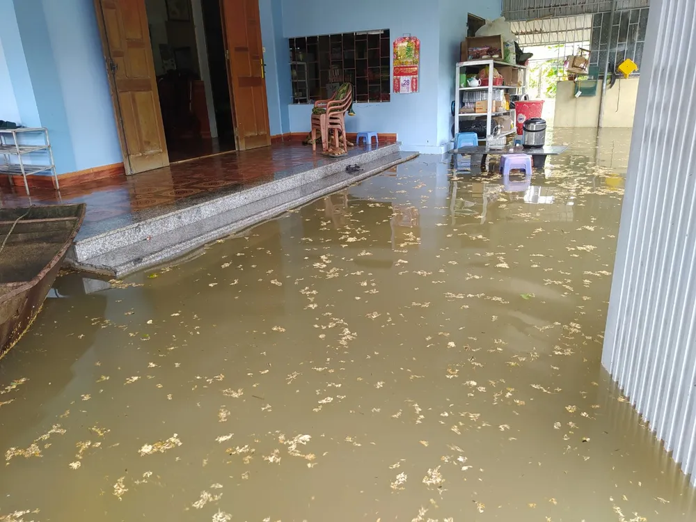 Hà Tĩnh cấm phương tiện qua Quốc lộ 1 ở xã Xuân Lam  ảnh 12