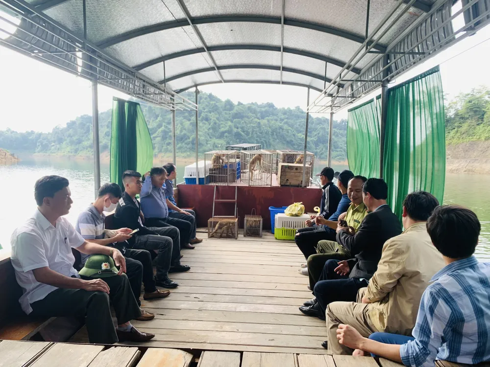 Tái thả 13 cá thể động vật hoang dã về môi trường tự nhiên ảnh 1