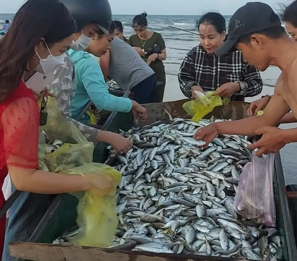 Ngư dân Hà Tĩnh trúng mẻ cá đù hơn 4 tấn ảnh 5