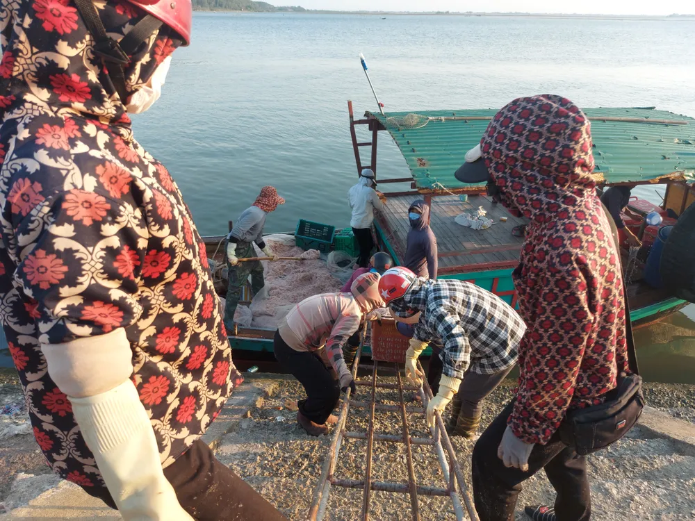 Ngư dân Hà Tĩnh trúng “lộc biển” những ngày đầu vụ cá Bắc ảnh 2