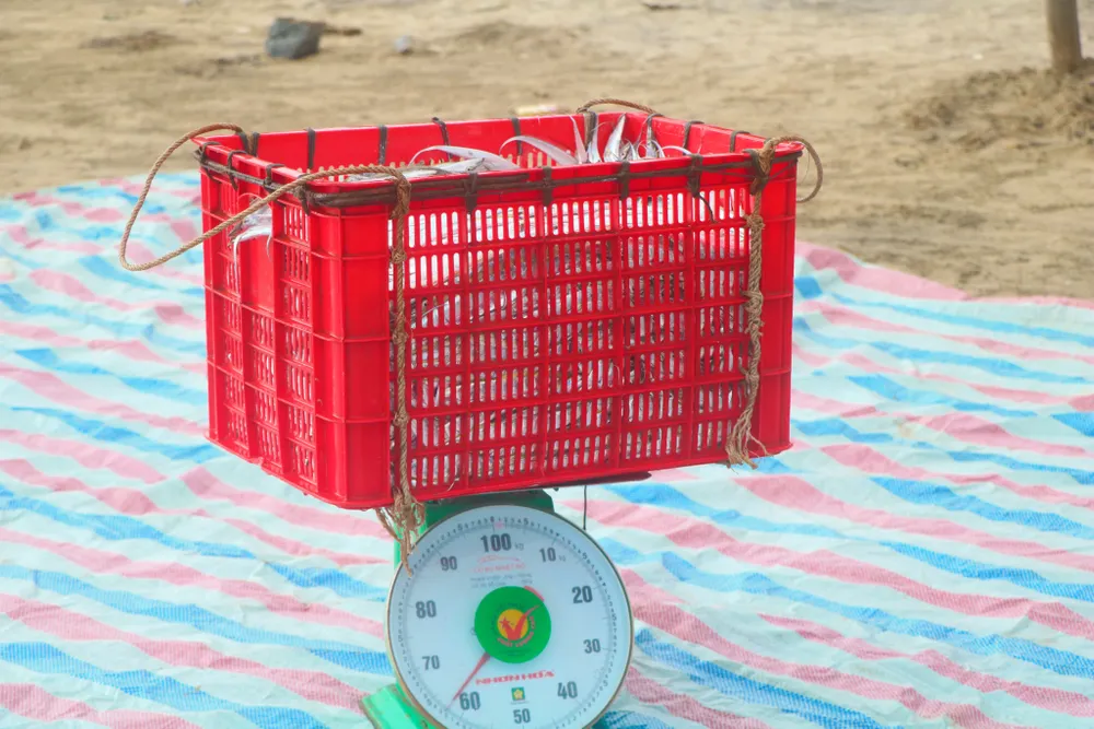 Ngư dân Hà Tĩnh trúng “lộc biển” những ngày đầu vụ cá Bắc ảnh 18