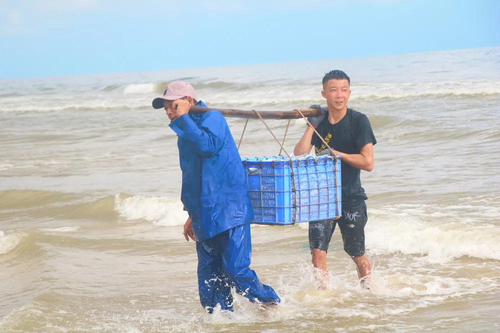 Ngư dân Hà Tĩnh trúng “lộc biển” những ngày đầu vụ cá Bắc ảnh 14