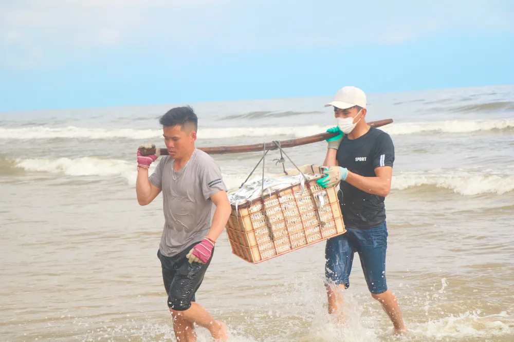 Ngư dân Hà Tĩnh trúng “lộc biển” những ngày đầu vụ cá Bắc ảnh 15
