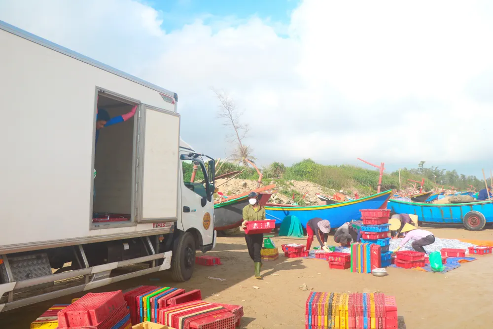 Ngư dân Hà Tĩnh trúng “lộc biển” những ngày đầu vụ cá Bắc ảnh 19