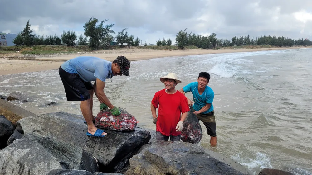 Ngư dân Hà Tĩnh trúng “lộc biển” những ngày đầu vụ cá Bắc ảnh 23