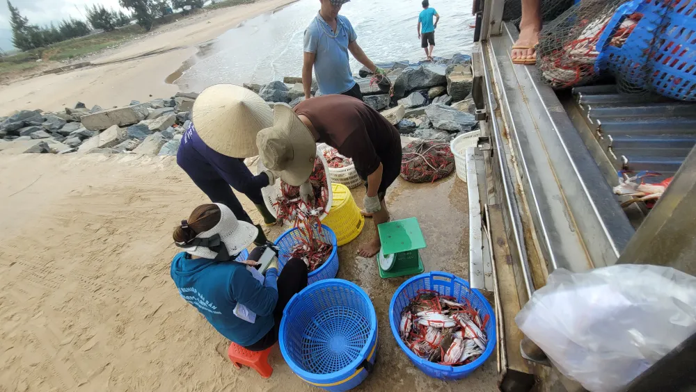 Ngư dân Hà Tĩnh trúng “lộc biển” những ngày đầu vụ cá Bắc ảnh 21