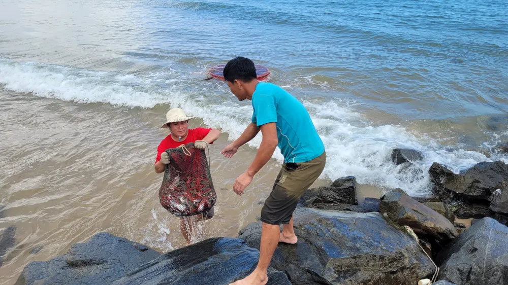 Ngư dân Hà Tĩnh trúng “lộc biển” những ngày đầu vụ cá Bắc ảnh 29