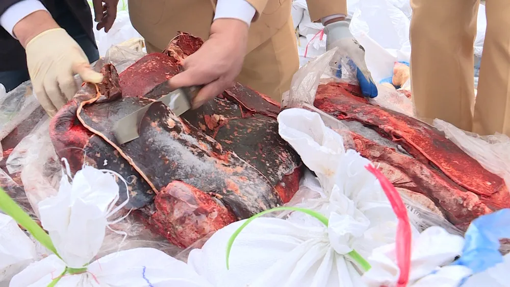 Các sản phẩm động vật đã biến đổi màu sắc, bốc mùi hôi thối