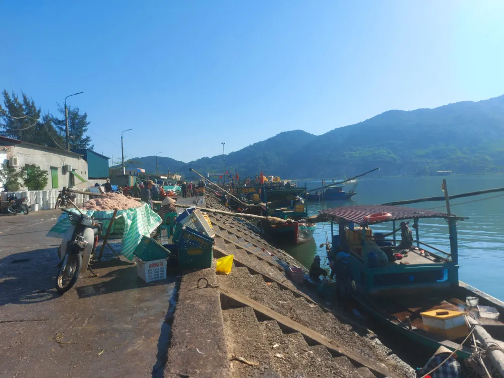 Cảng cá Cửa Sót ngày cuối năm tấp nập tàu thuyền chở ruốc vào tiêu thụ Cảng cá Cửa Sót ngày cuối năm tấp nập tàu thuyền chở ruốc vào tiêu thụ