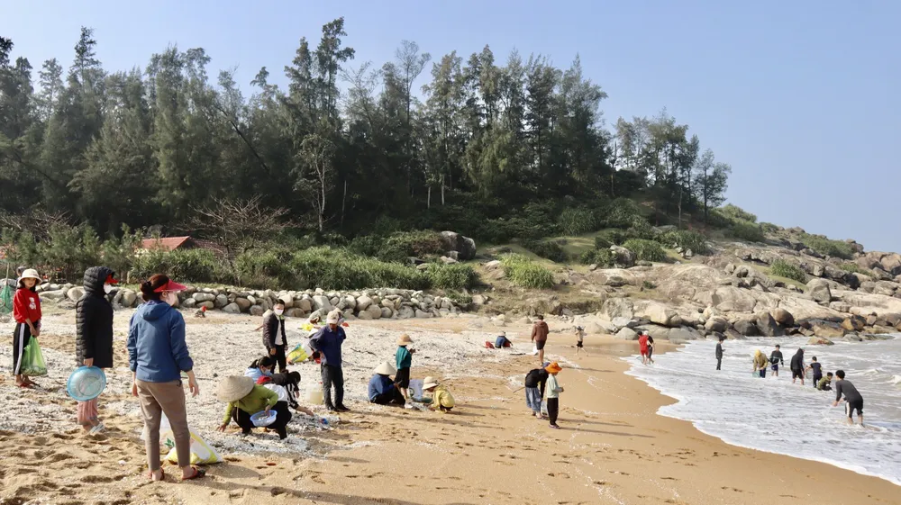 Người dân ra bờ biển xã Kỳ Phú (Kỳ Anh, Hà Tĩnh) vớt "lộc biển" đầu năm