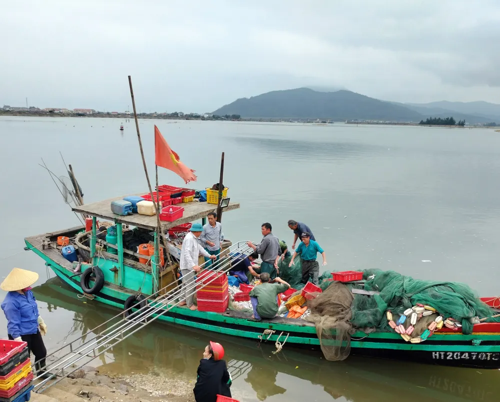 Tàu chở mẻ cá đù vào bờ biển tiêu thụ. Ảnh: HƯƠNG THÀNH